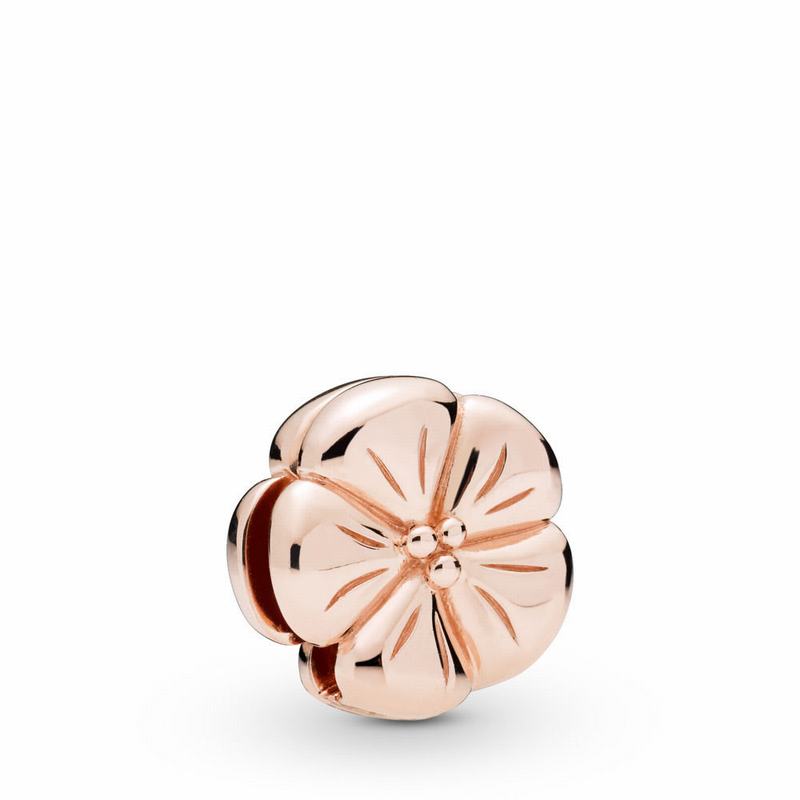 Pandora Rose™ Reflexions™ Classic Flower Clip Charm Outlet NZ (148957-MRT)